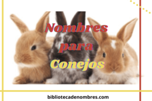 nombres_para_conejos
