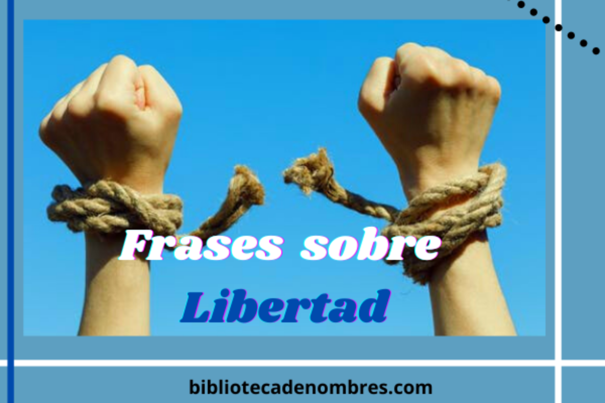 Top 55+ imagen imágenes de libertad con frases - Abzlocal.mx